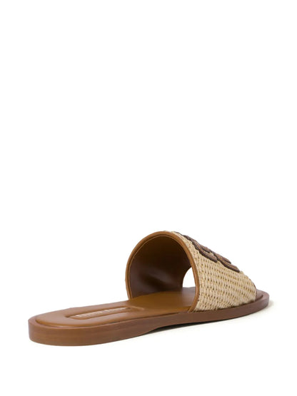 Coast Luna Slides